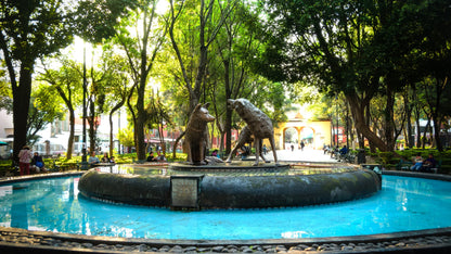 Xochimilco, Coyoacan, Aztec Stadium & UNAM