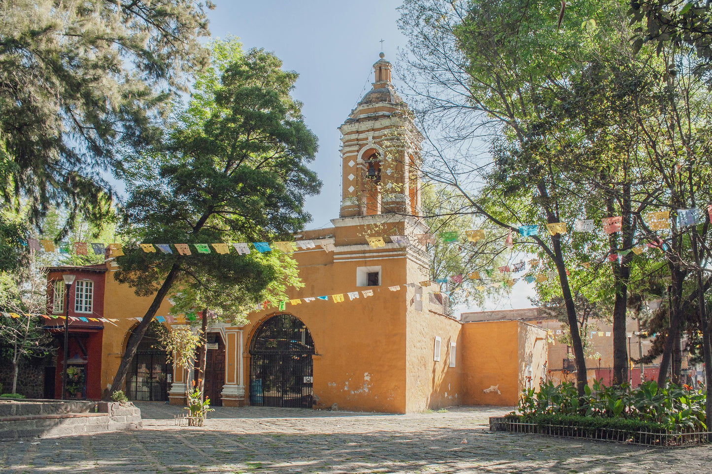 Xochimilco, Coyoacan, Aztec Stadium & UNAM