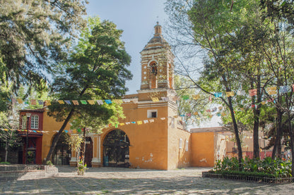 Xochimilco, Coyoacan, Aztec Stadium & UNAM